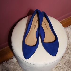 Blue Pointed Toe Flats